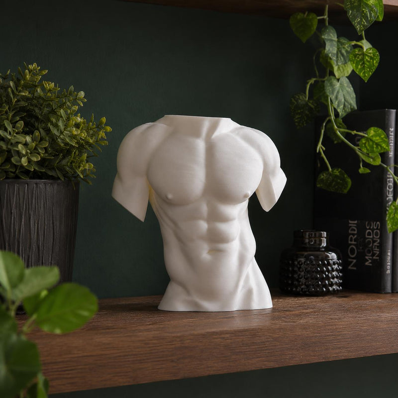 Torso
