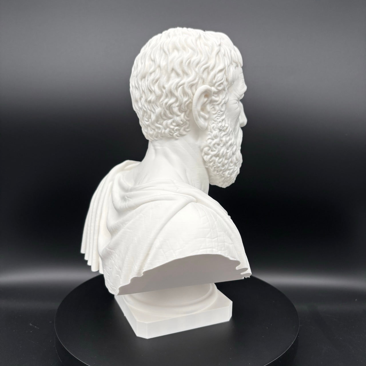 Weiße Platon Büste als dekorative Skulptur für Bibliothek und Büro