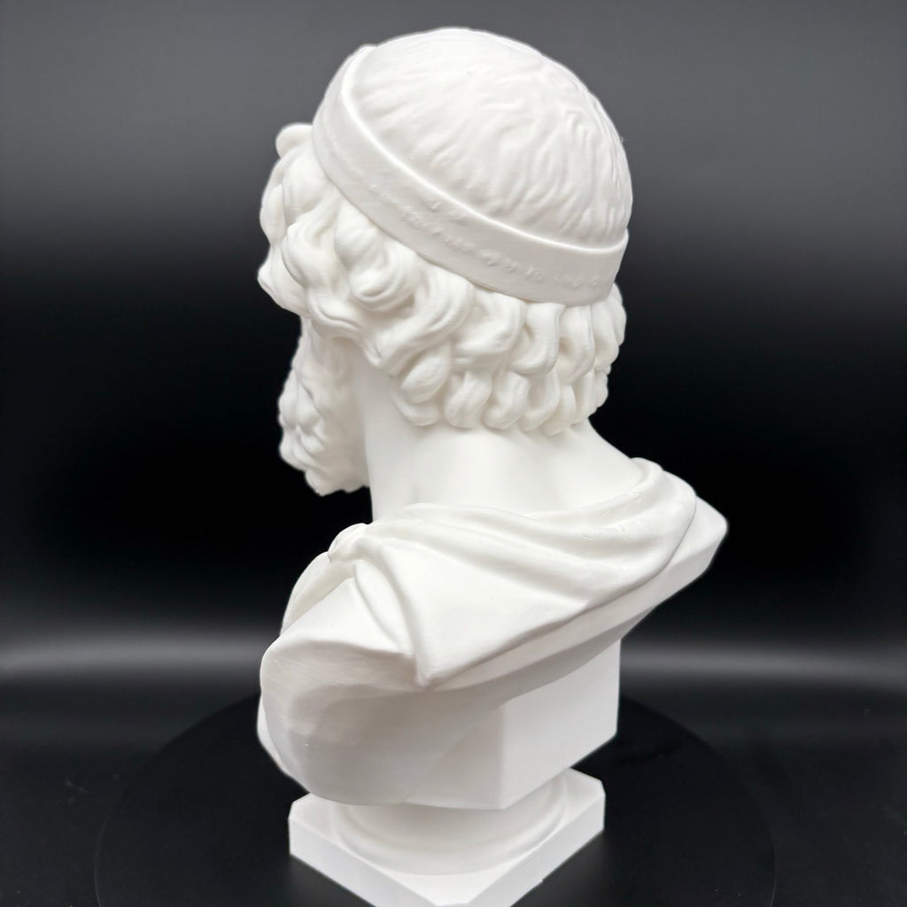 Homer Büste – Detailansicht der Büste, Produktfoto 04