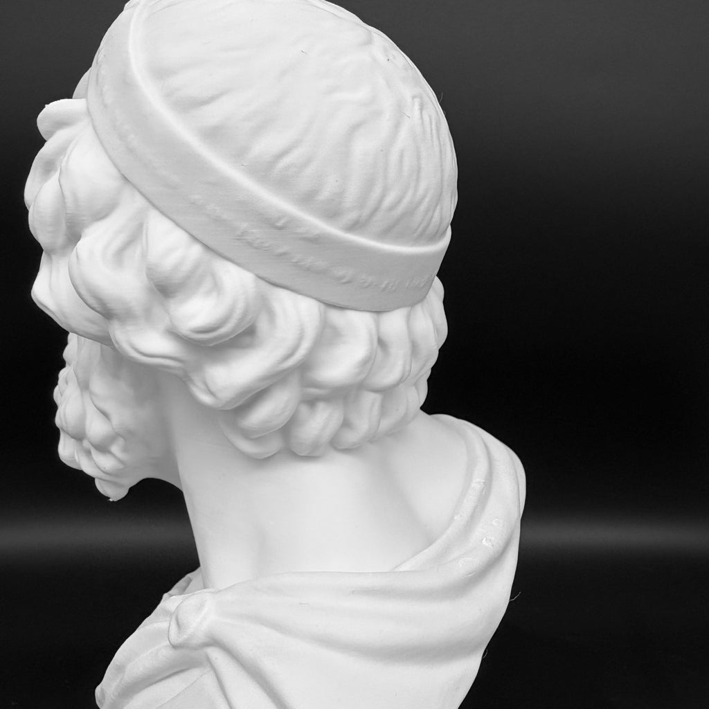 Homer Büste – Detailansicht der Büste, Produktfoto 16
