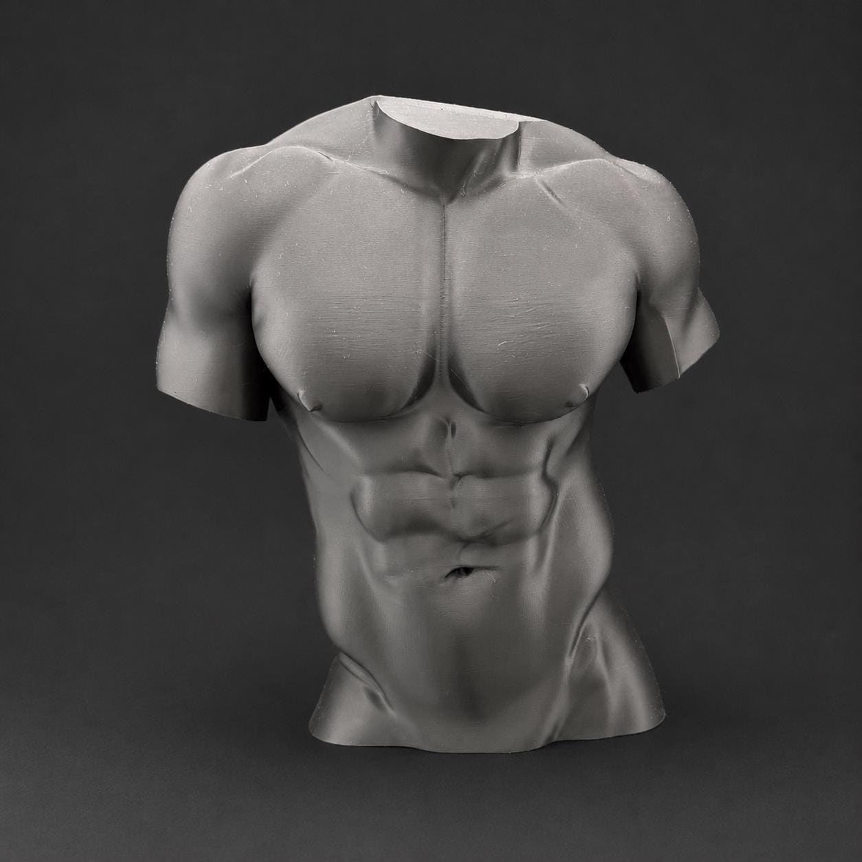 Male Torso Sculpture