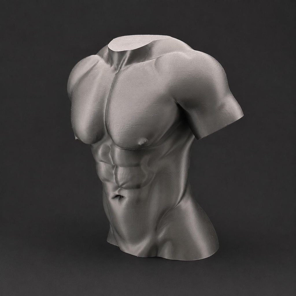 Male Torso Sculpture