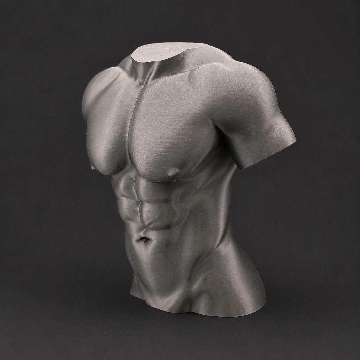 Male Torso Sculpture