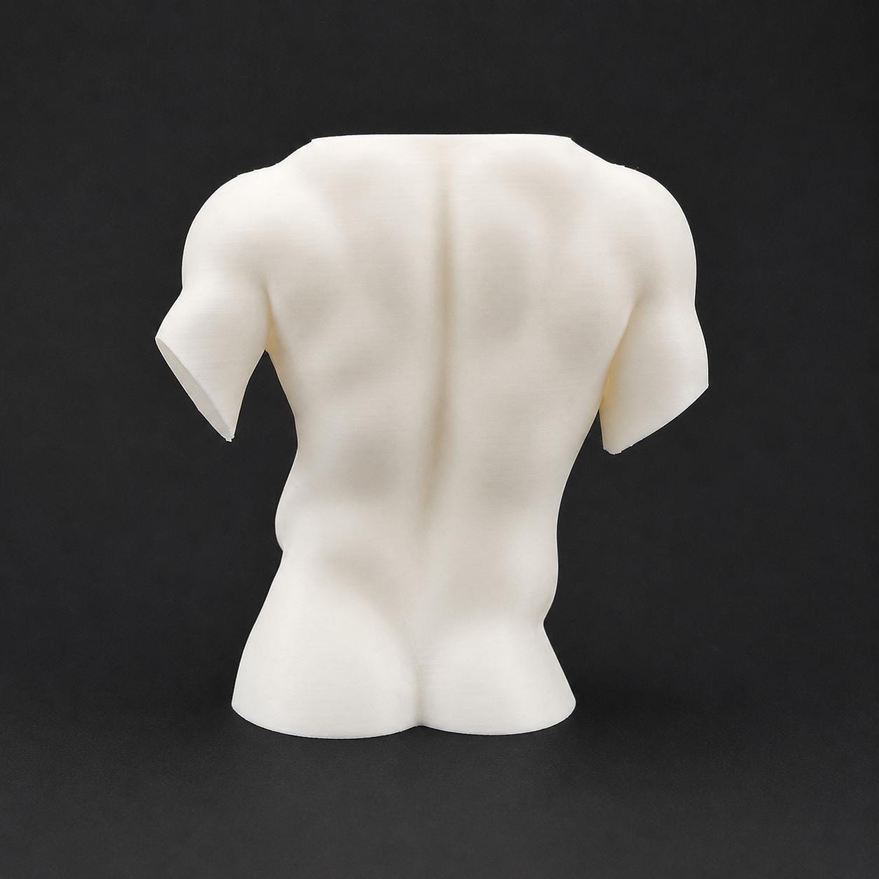 Male Torso Sculpture