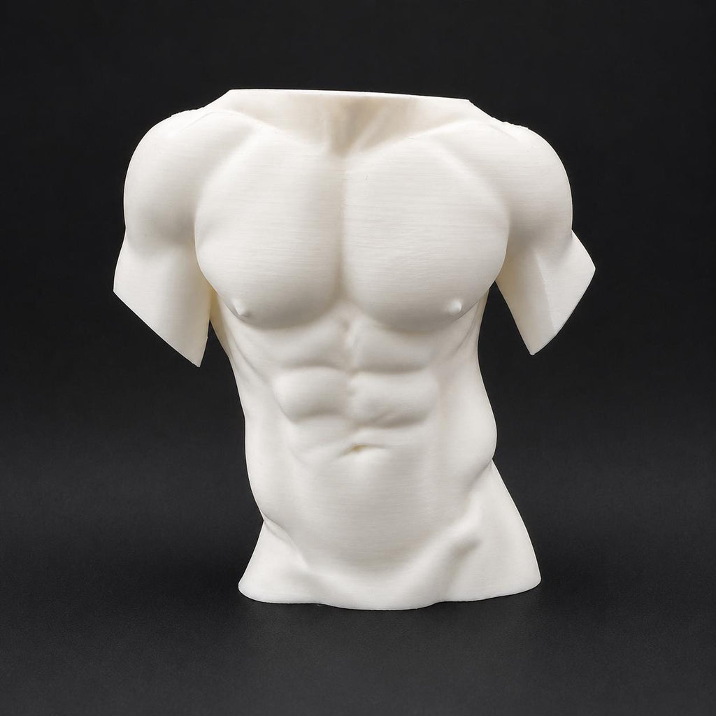 Male Torso Sculpture