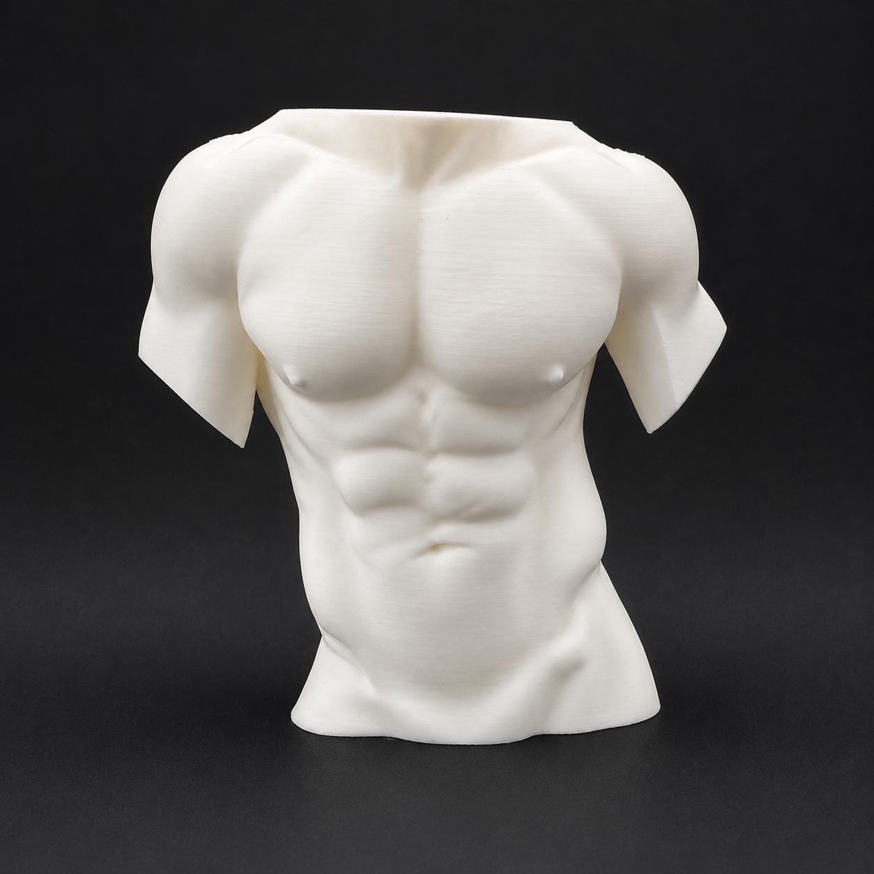 Male Torso Sculpture
