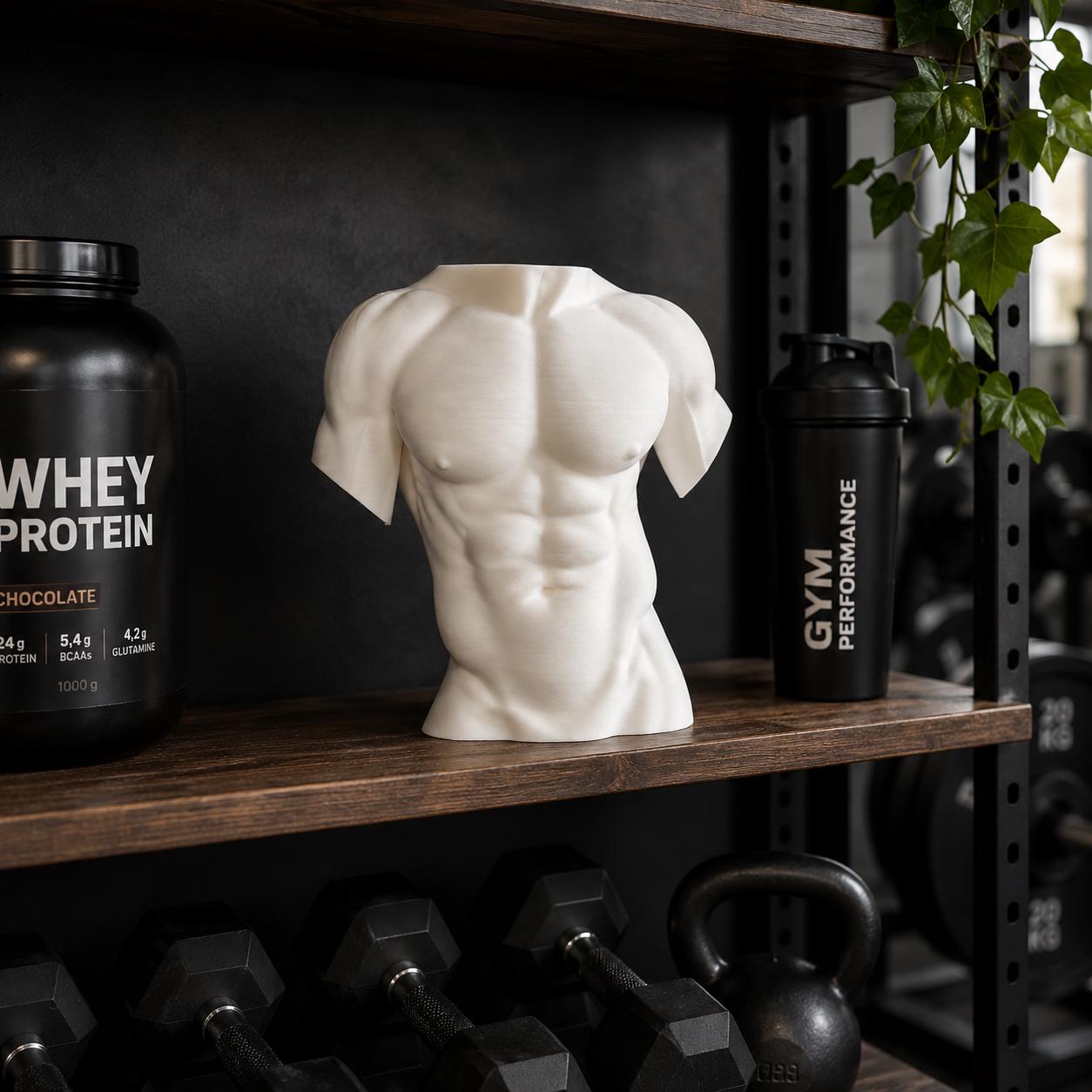 Male Torso Sculpture