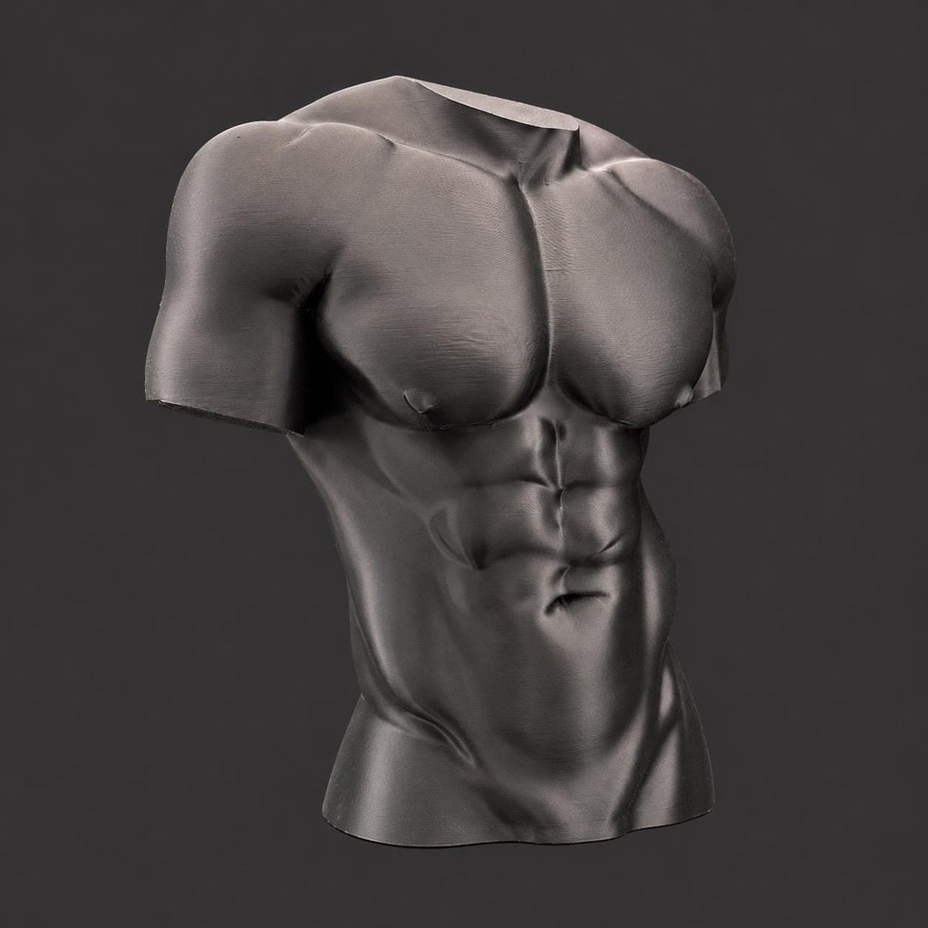 Male Torso Sculpture
