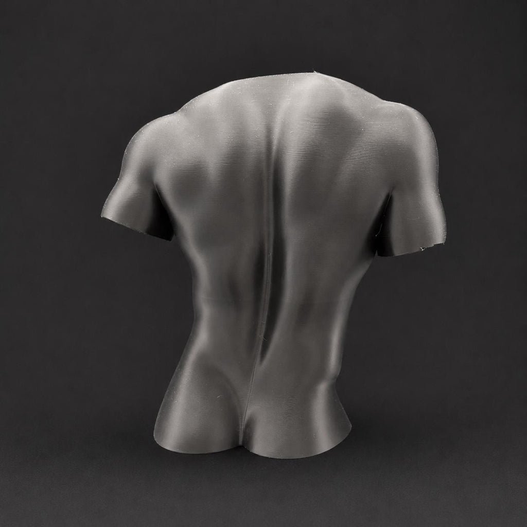 Male Torso Sculpture