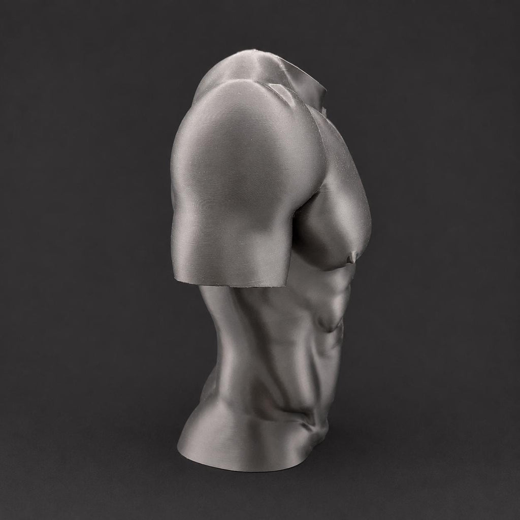 Male Torso Sculpture