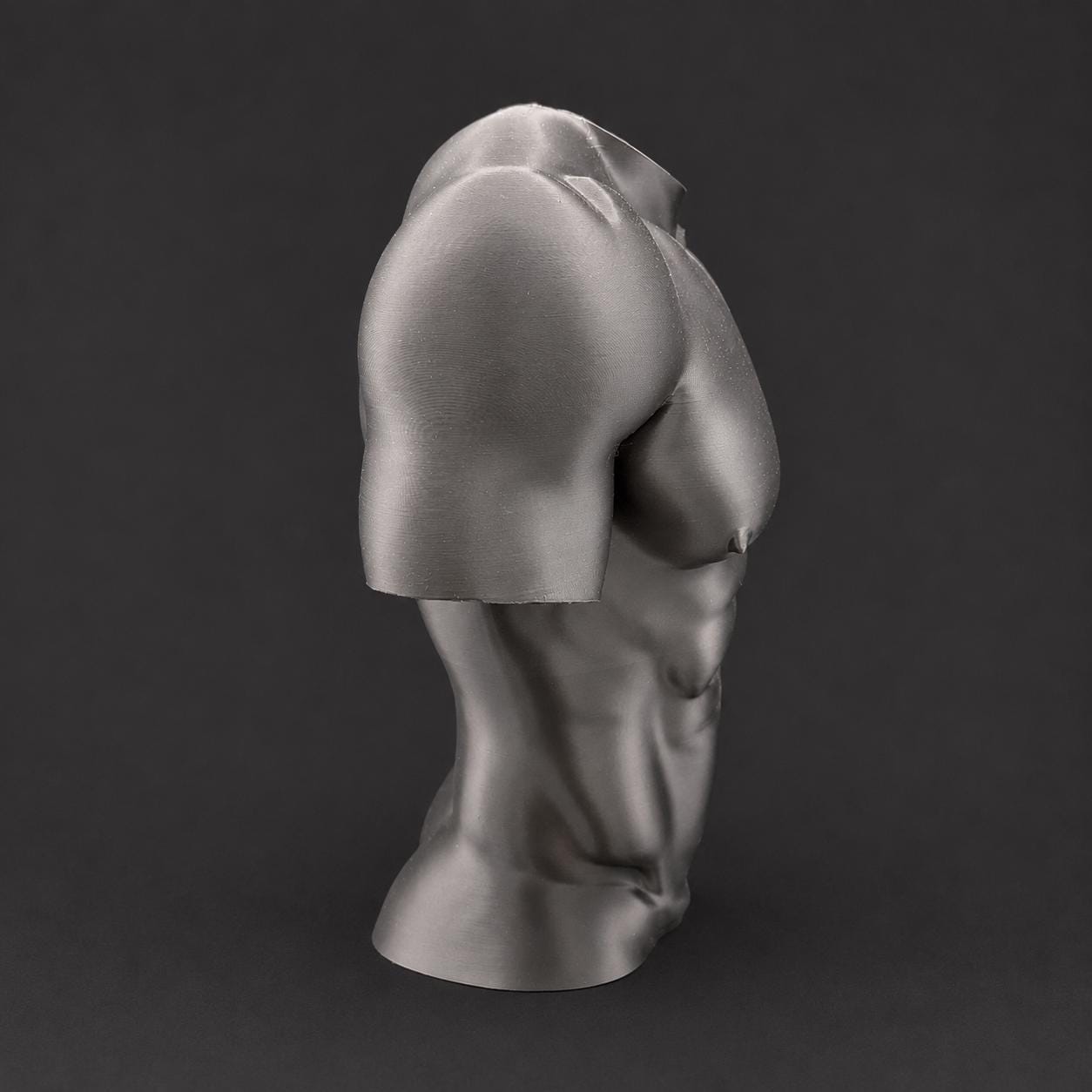 Male Torso Sculpture