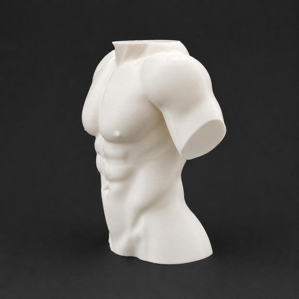 Male Torso Sculpture