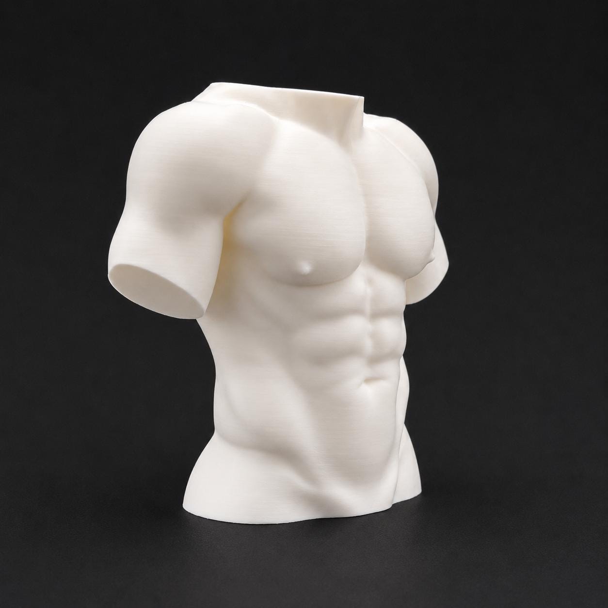 Male Torso Sculpture
