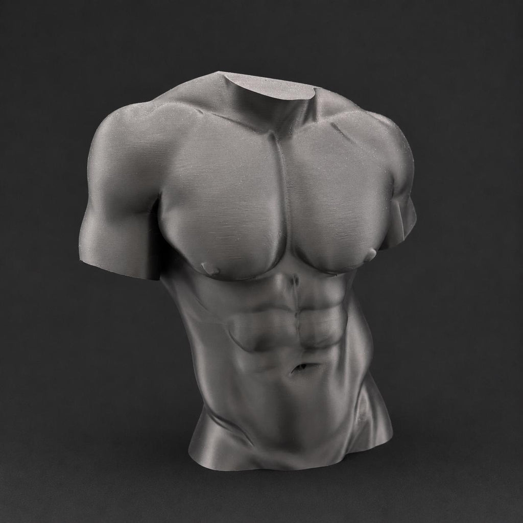 Male Torso Sculpture