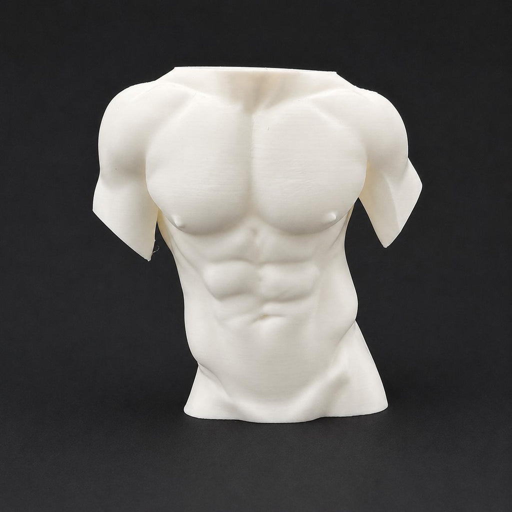 Male Torso Sculpture