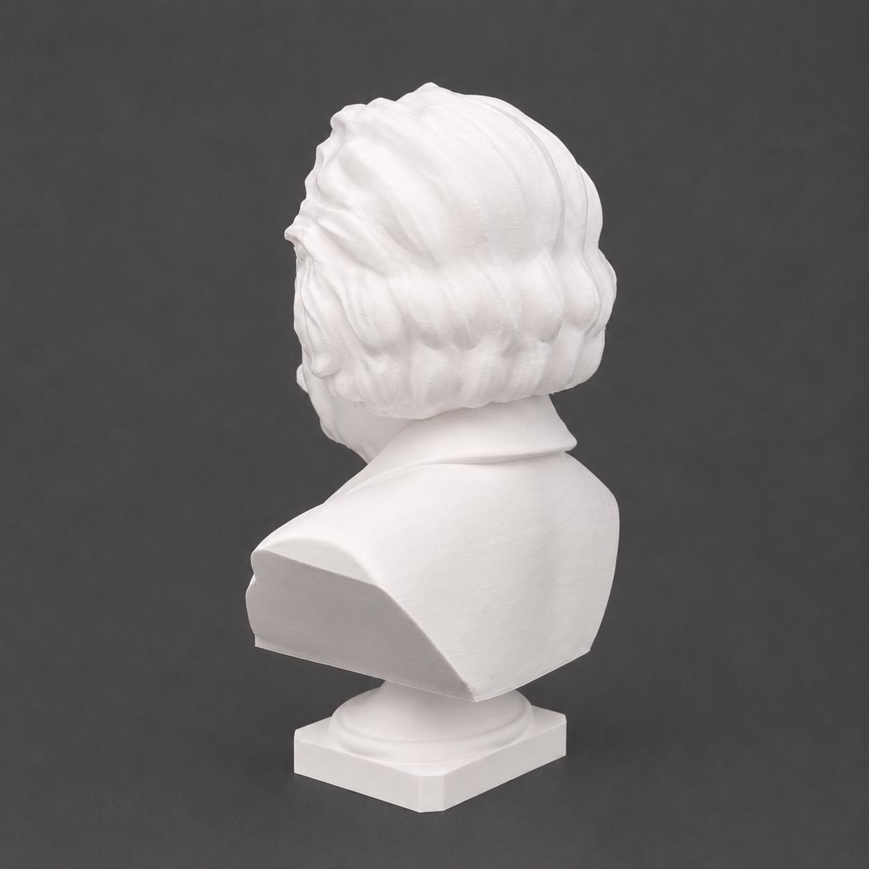 Albert Einstein - Bust