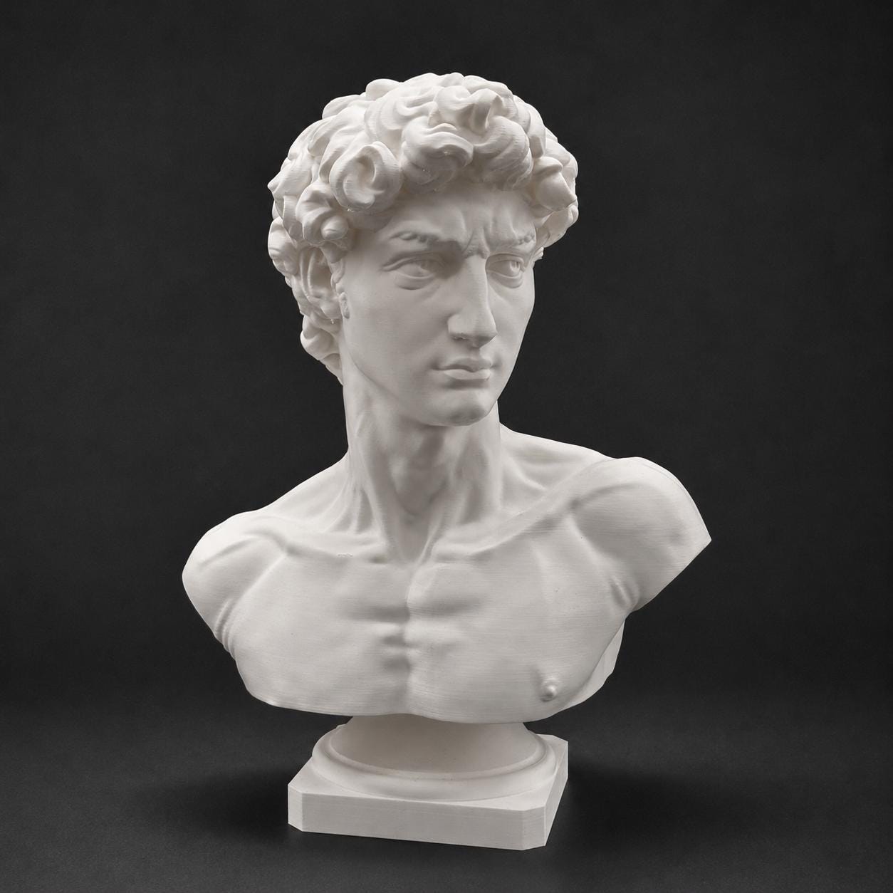 Michelangelo's David-inspired bust