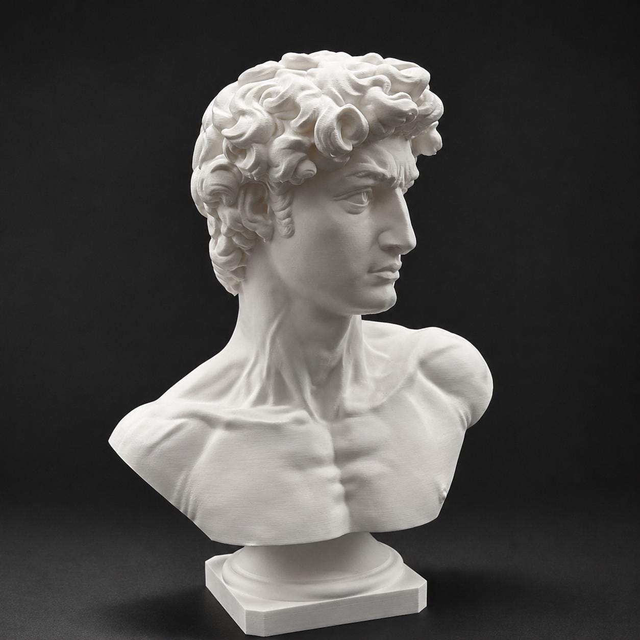 Michelangelo's David-inspired bust