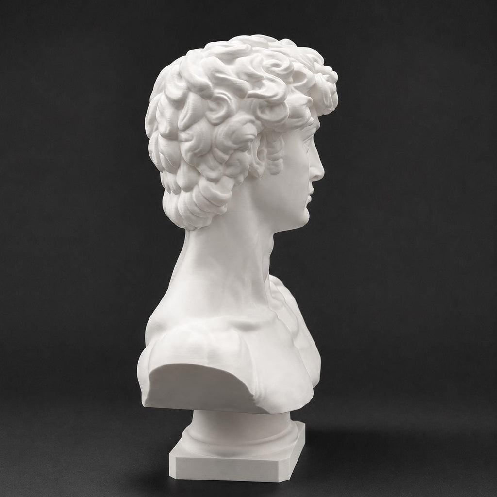 Michelangelo's David-inspired bust
