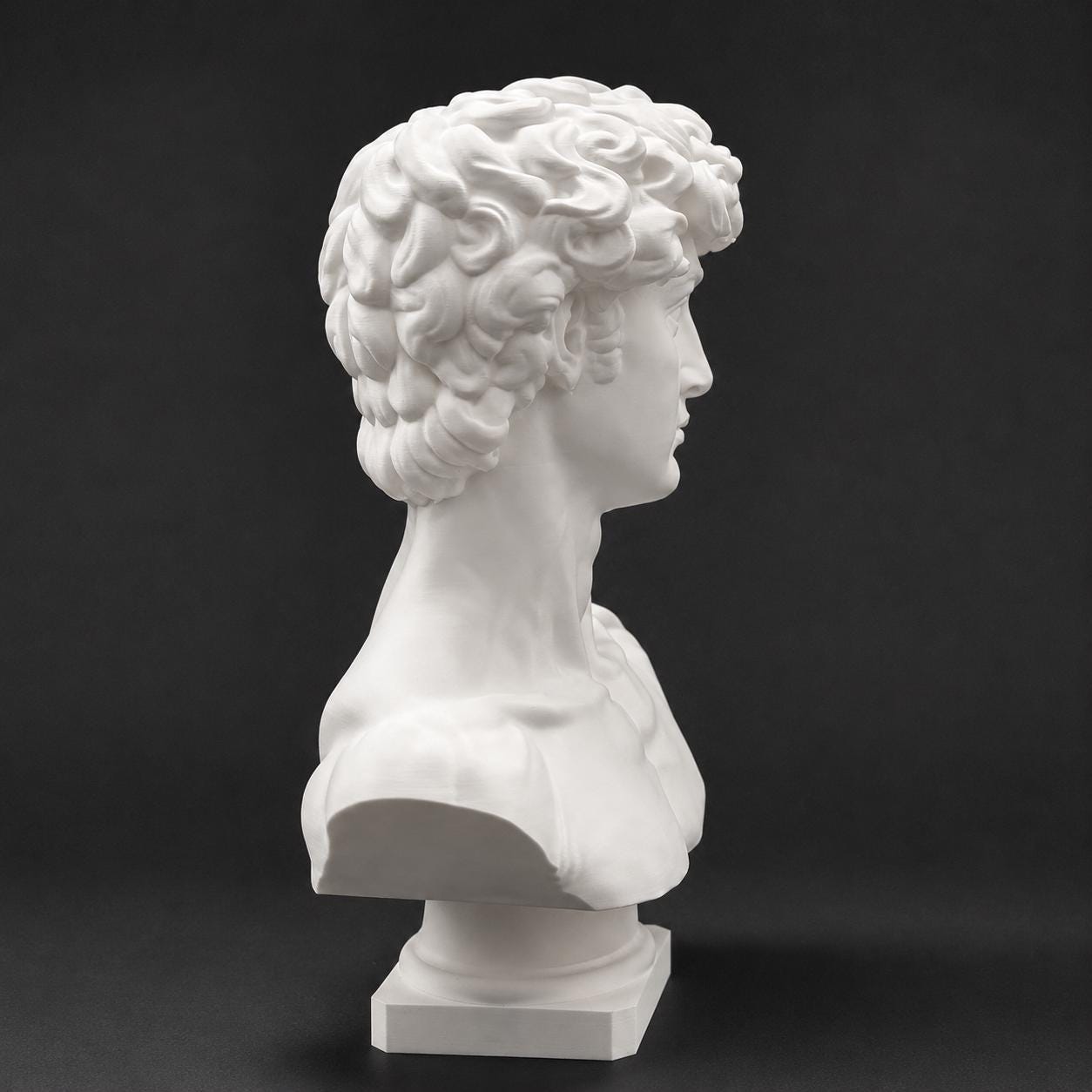 Michelangelo's David-inspired bust
