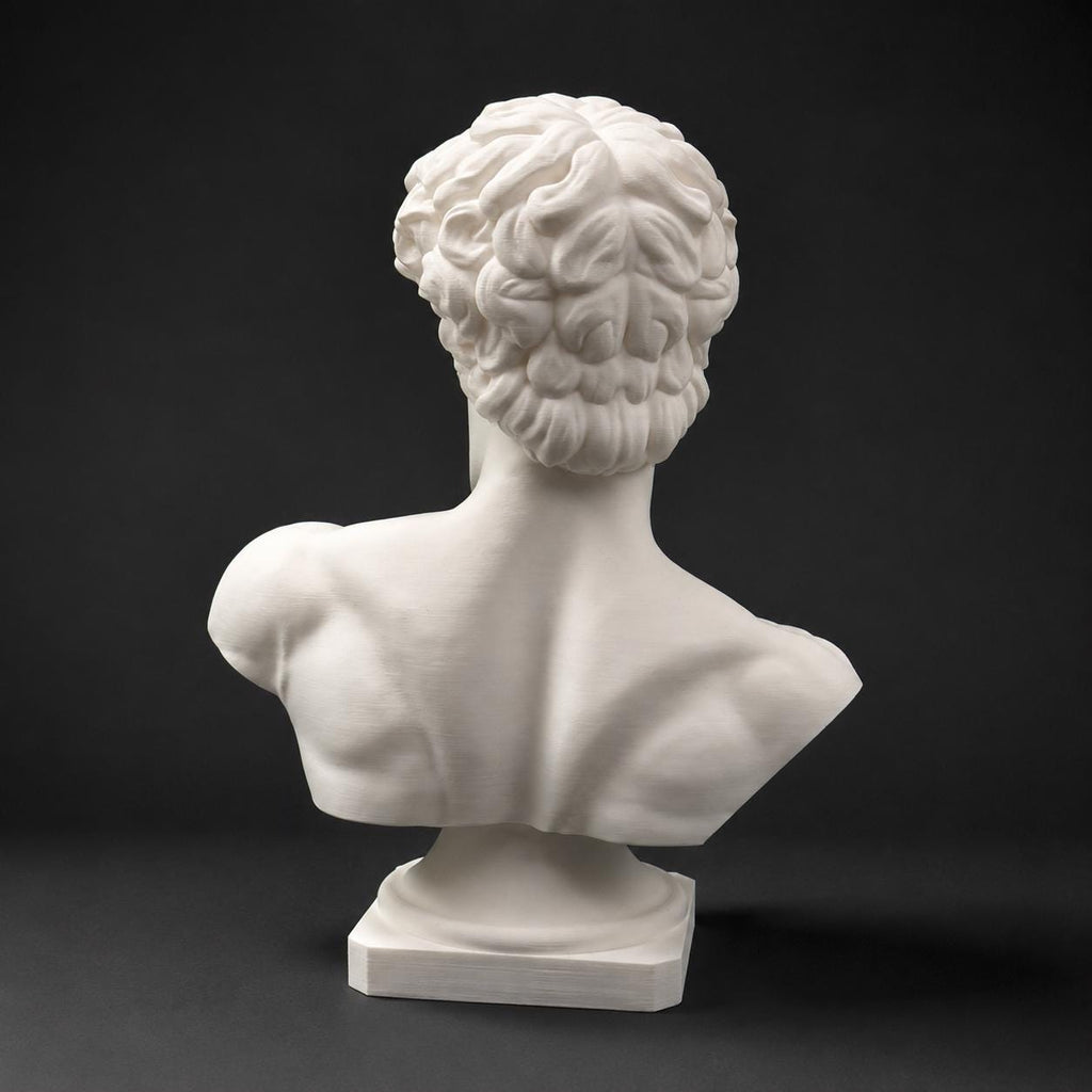 Michelangelo's David-inspired bust