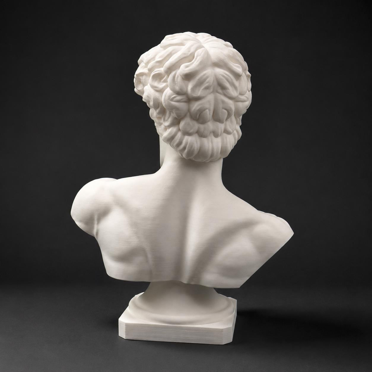 Michelangelo's David-inspired bust