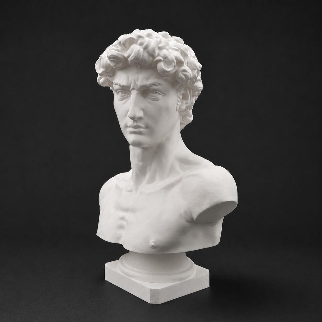 Michelangelo's David-inspired bust