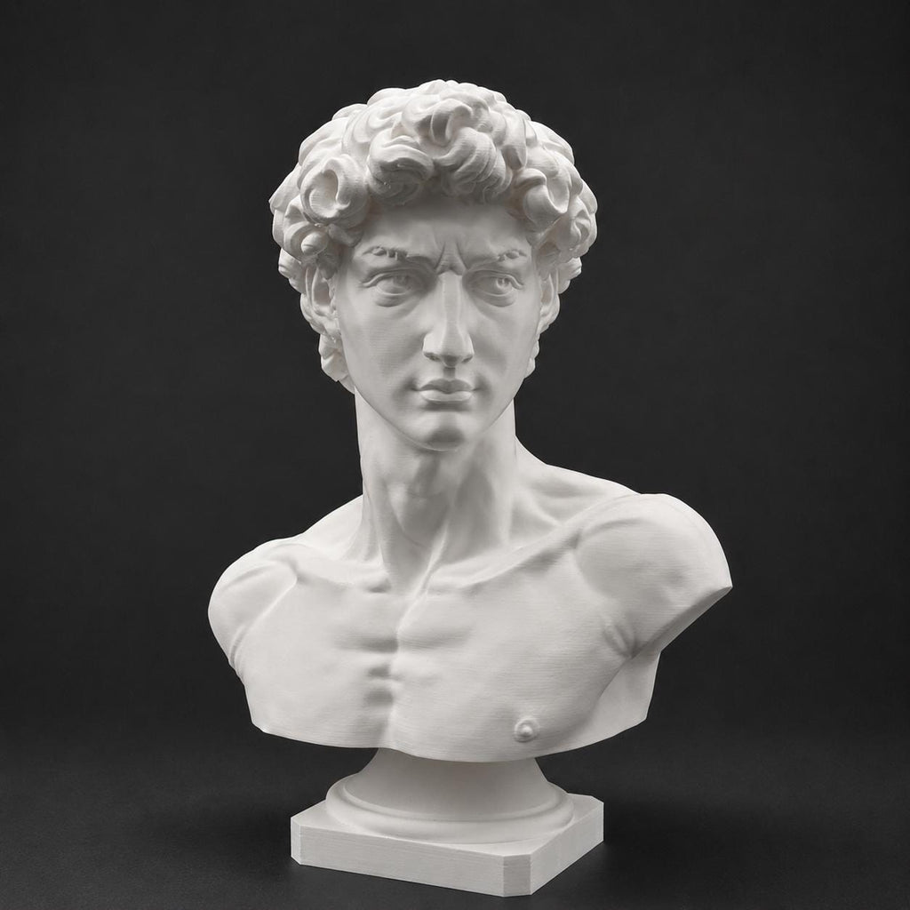 Michelangelo's David-inspired bust