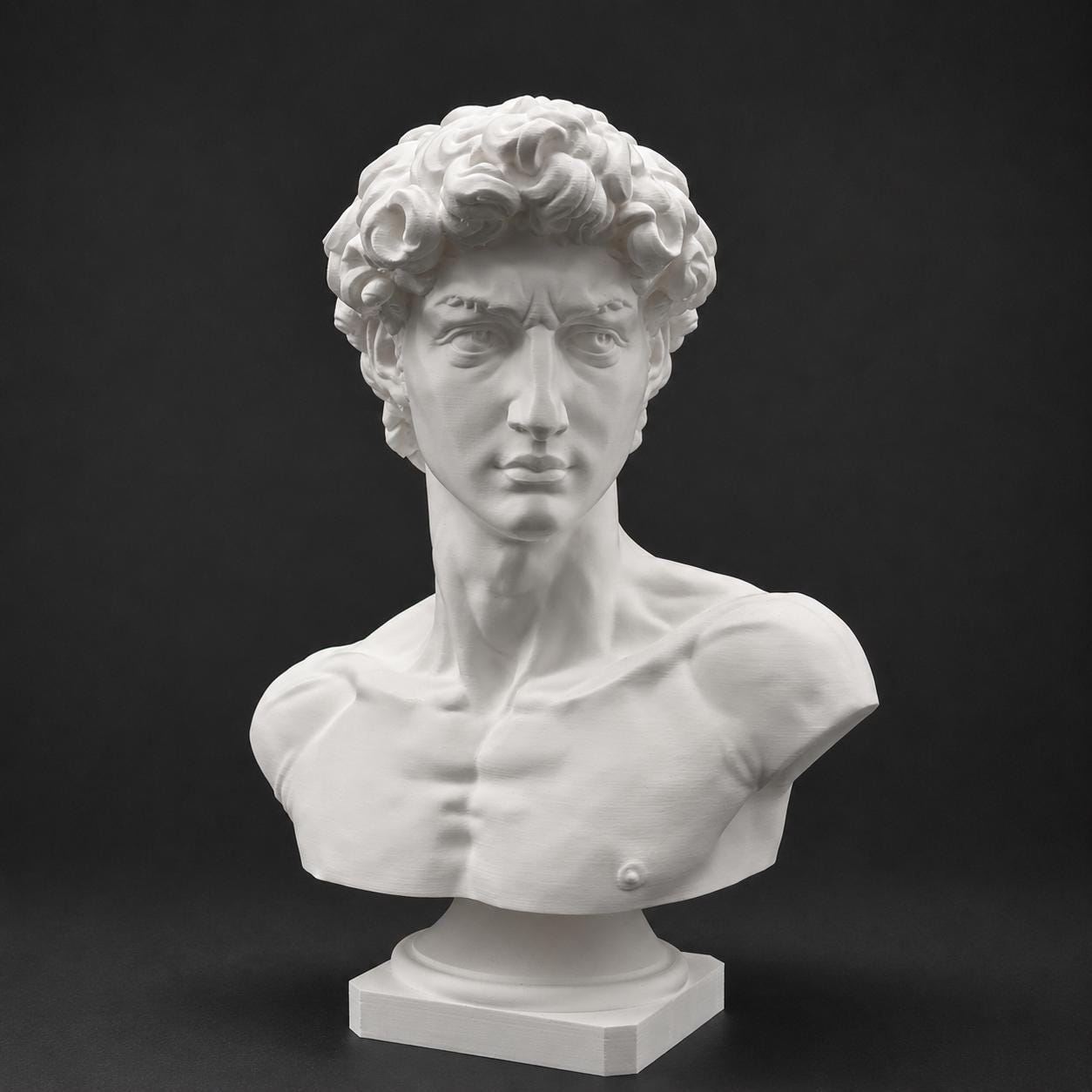 Michelangelo's David-inspired bust