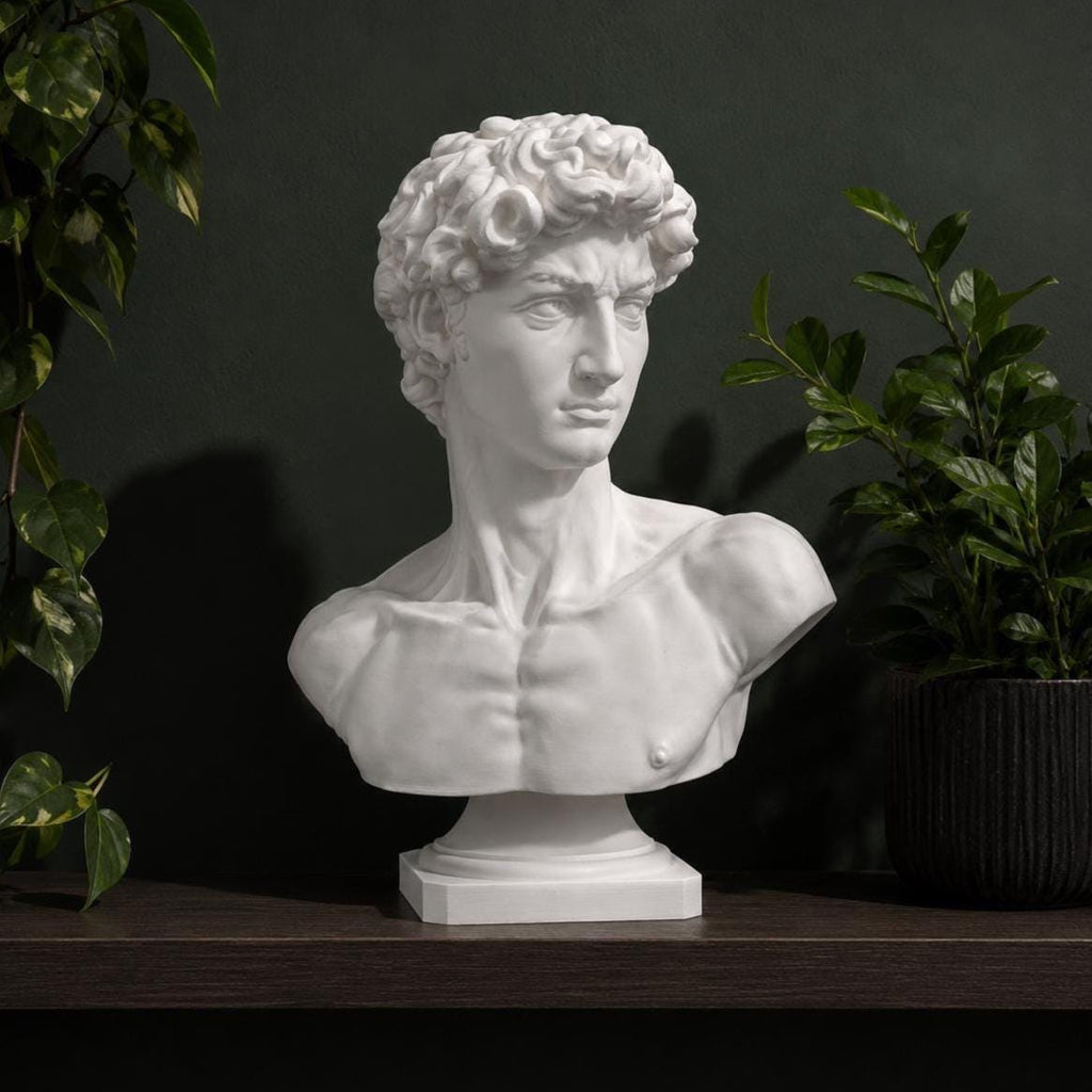 Michelangelo's David-inspired bust
