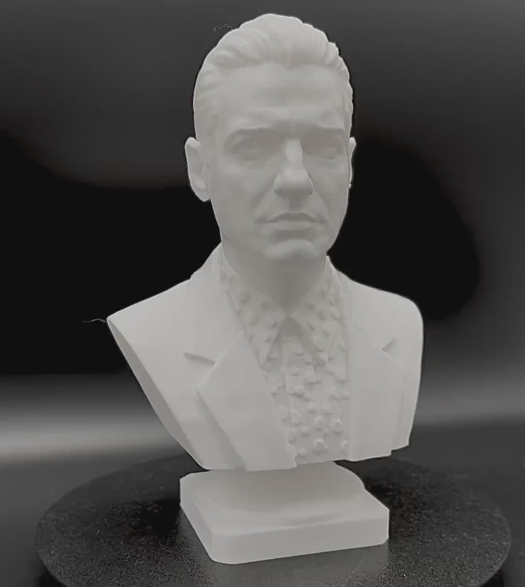 Falco - Musician - Bust