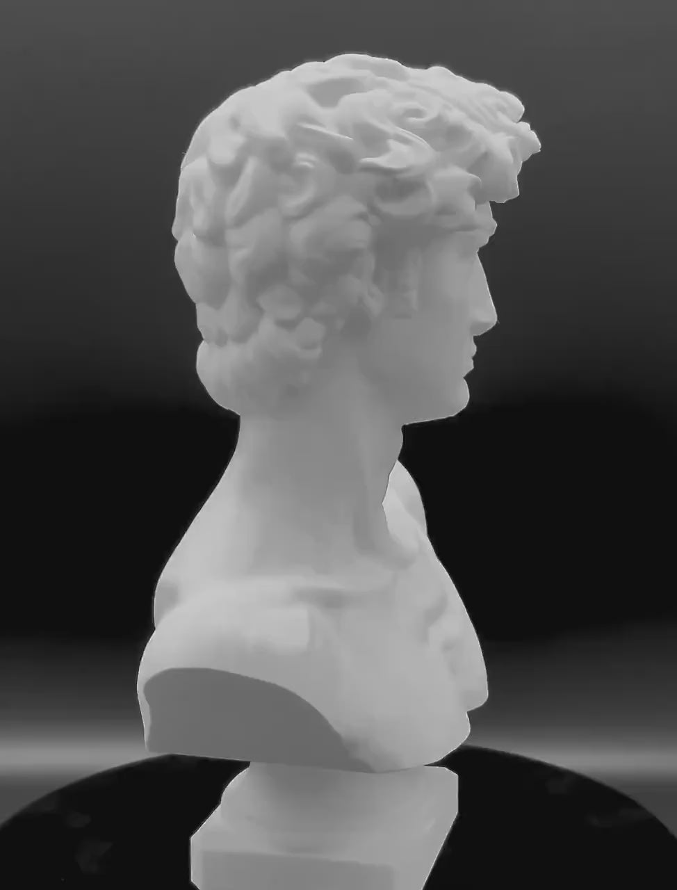 Michelangelo's David-inspired bust